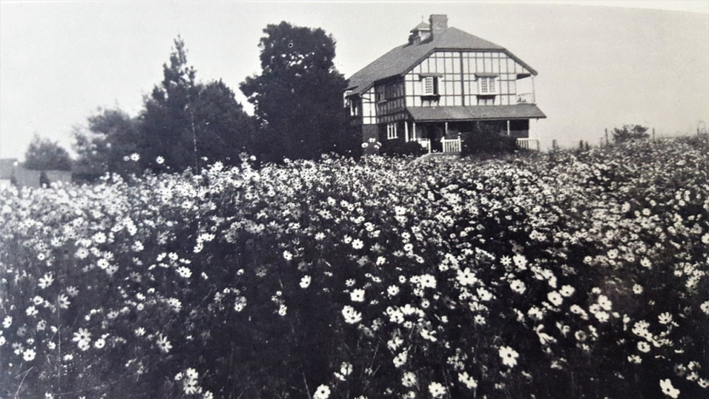 1913 2
