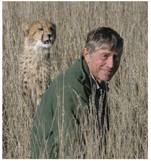 Mills and Cheetah