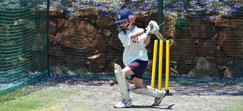 Prep Cricket
